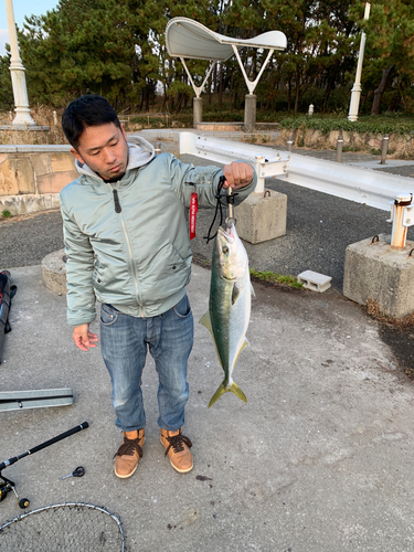 メジロの釣果