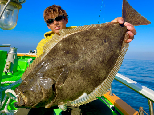 ヒラメの釣果