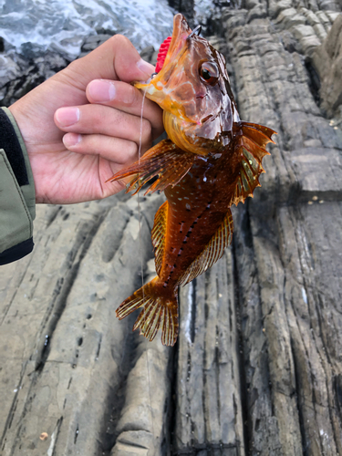 釣果