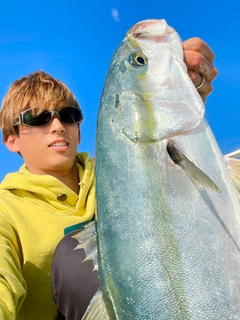 ワラサの釣果
