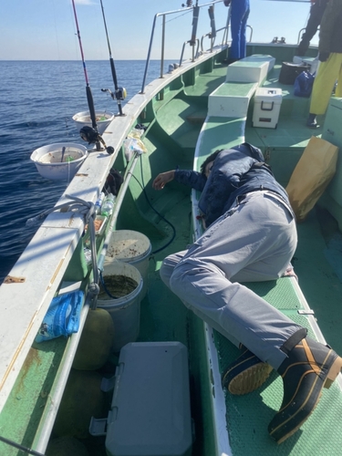 マサバの釣果