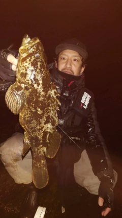 タケノコメバルの釣果