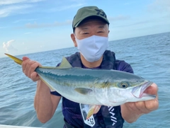 イナダの釣果