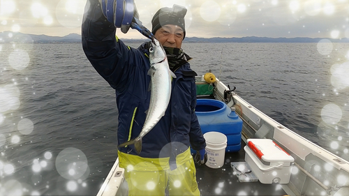 サバの釣果