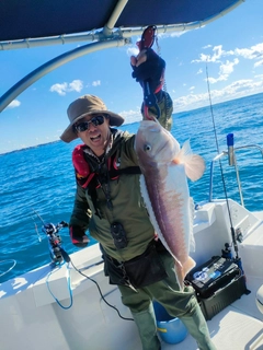 シロアマダイの釣果