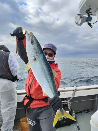 ヤズの釣果