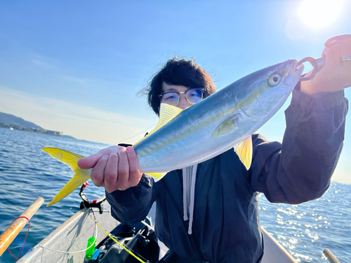 イナダの釣果