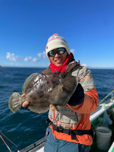 カワハギの釣果