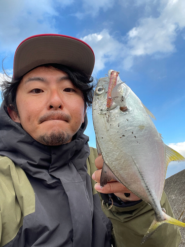 メッキの釣果