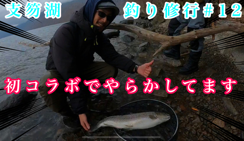 ブラウントラウトの釣果