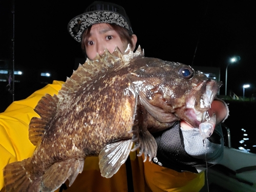 ムラソイの釣果