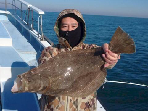 ヒラメの釣果