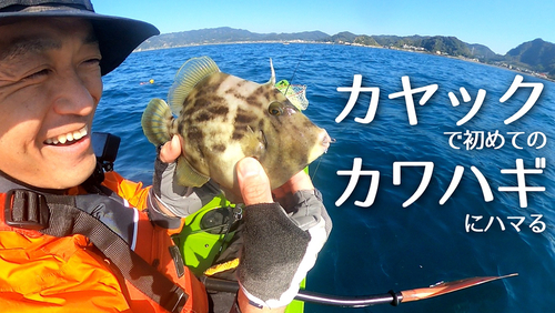 カワハギの釣果