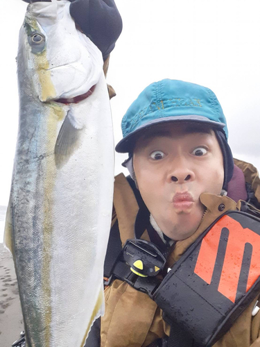 イナダの釣果