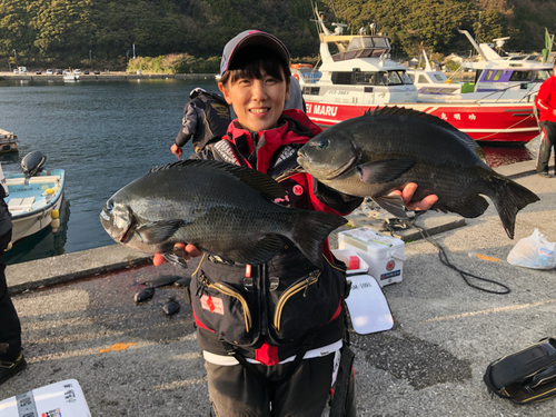 クロの釣果