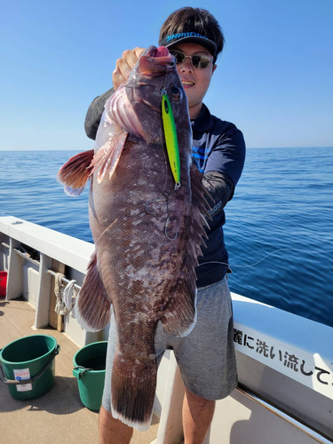 マハタの釣果