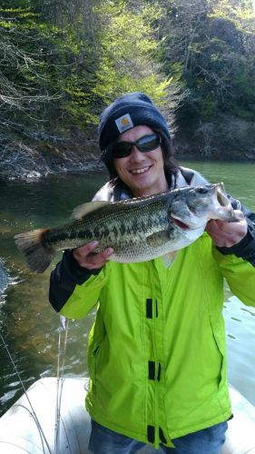 ブラックバスの釣果