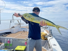 シイラの釣果