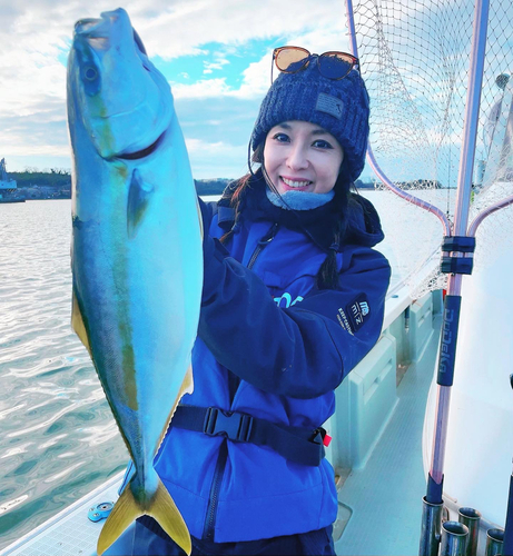 ハマチの釣果