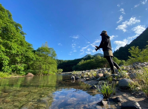 ヤマメの釣果