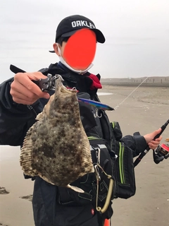 ソゲの釣果