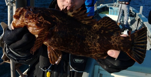 ベッコウゾイの釣果