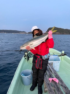 ブリの釣果