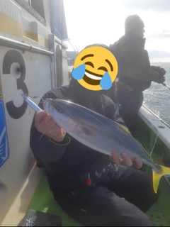 イナダの釣果