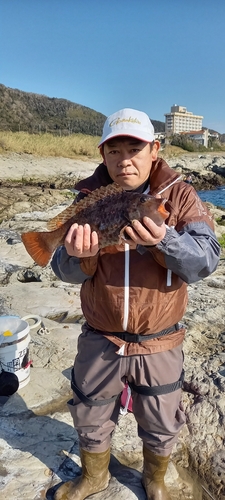 ブダイの釣果