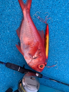 キンメダイの釣果