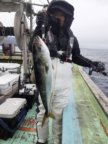 ワラサの釣果