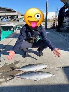 ワラサの釣果