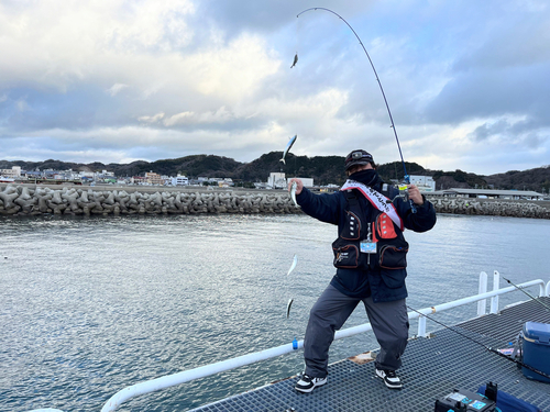 マイワシの釣果