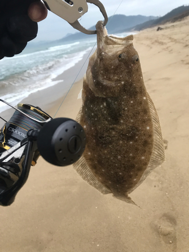 ソゲの釣果