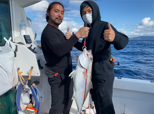 カンパチの釣果