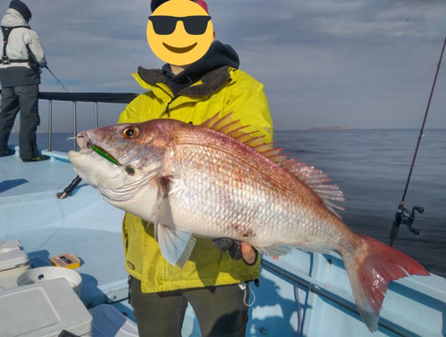 マダイの釣果