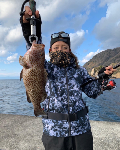 オオモンハタの釣果