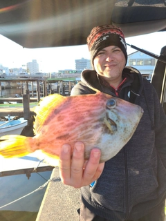 カワハギの釣果