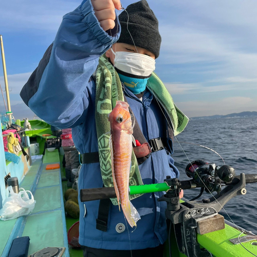 アマダイの釣果