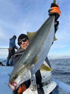 ヒラマサの釣果