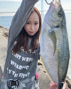 シマアジの釣果