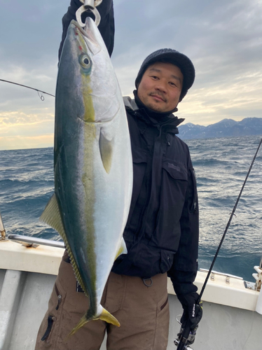 メジロの釣果