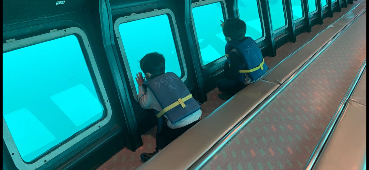 カサゴ
