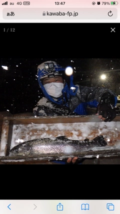 イトウの釣果