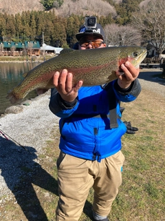 ヤシオマスの釣果