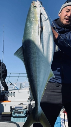 メジロの釣果