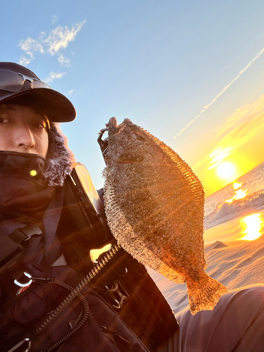 ソゲの釣果