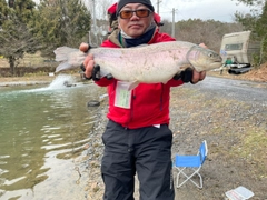 トラウトの釣果