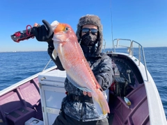 アマダイの釣果