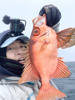 チカメキントキの釣果